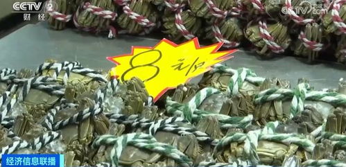 金華正大量上市，價(jià)格大跳水！水產(chǎn)品批發(fā)需注意這些問(wèn)題